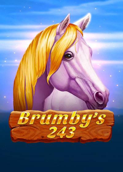Brumby's 243