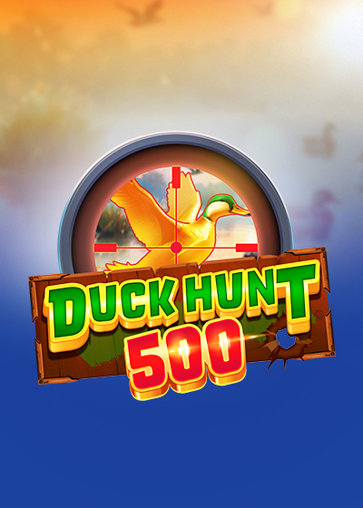 Duck Hunt 500